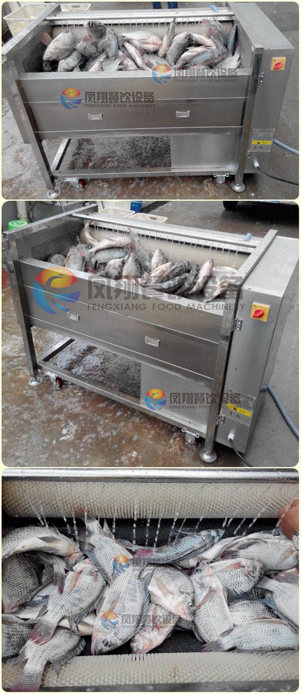 Industrial Automatic Fish Scale Removing Scaling Processing Machine