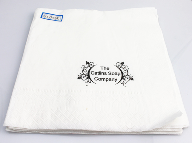 2ply Paper Napkins/Tissue Table Napkin with Printing Logo 33X33cm