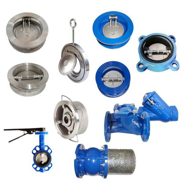 Double Disc Swing Check Valve