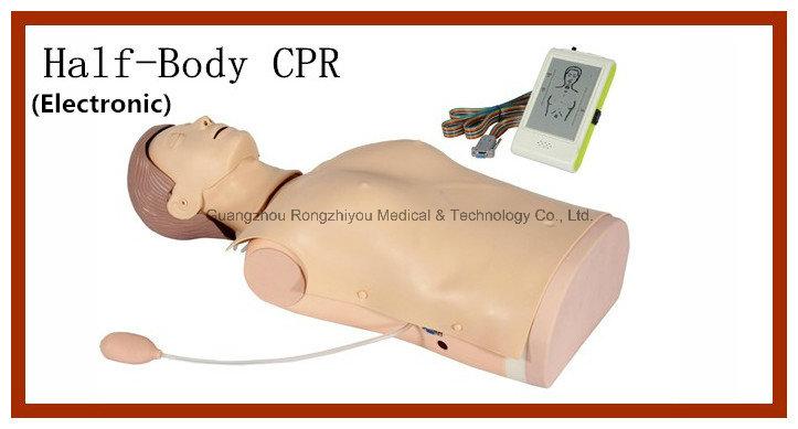 First Aid CPR Manikin, Half Body CPR Training Manikin