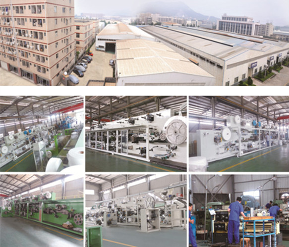 Economic High Quality Adult Diaper Making Machine Manufacture (CNK250-HSV)