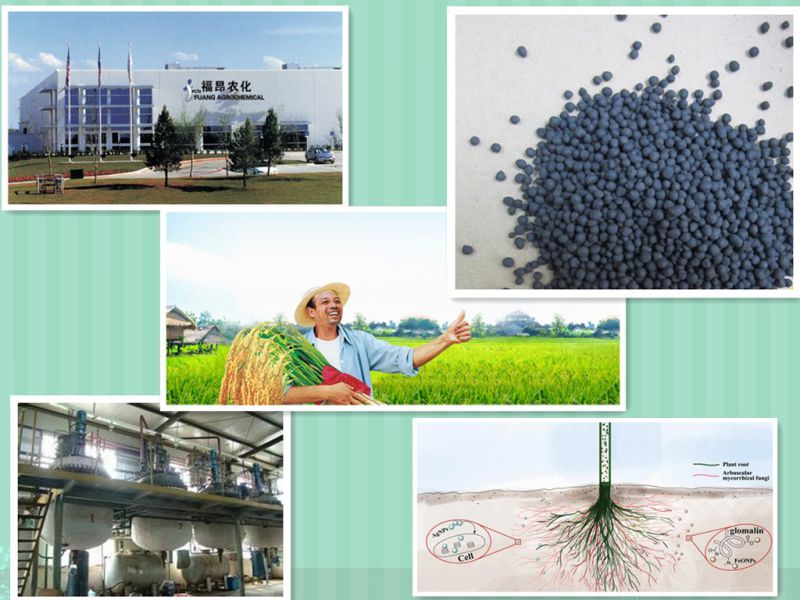 Water Soluble Organic Microelement Nitrogen, Phosphorus and Potassium NPK Fertilizer