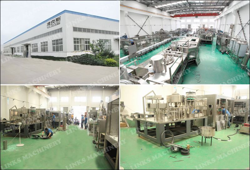 Automatic Drinking Water Bottling Plant