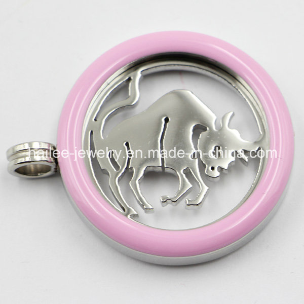 Stainless Steel Interchangeable Coin Disc Locket Pendant