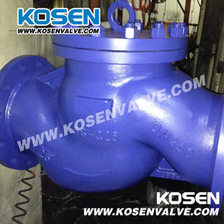 DIN Lift Check Valve (H41)