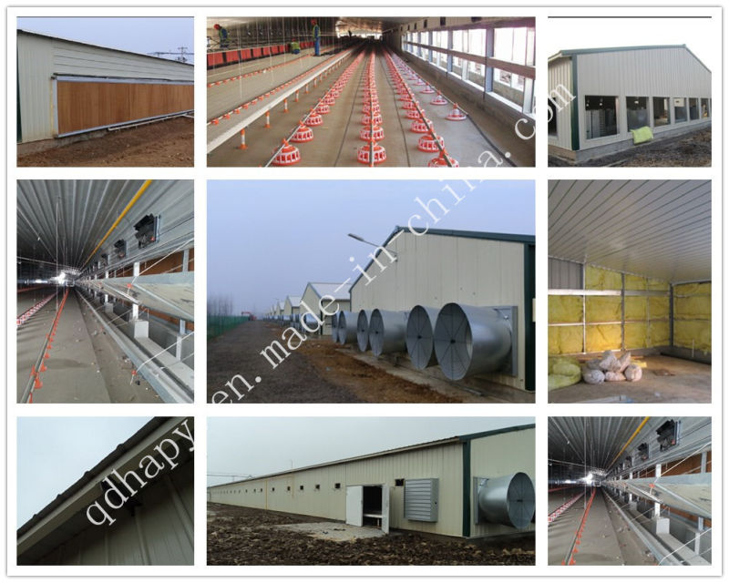 Hot Gavalnized Steel Structure Chicken House with Farm Equipment