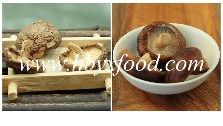 Nutritious Flesh Dried Smooth Shiitake Mushroom