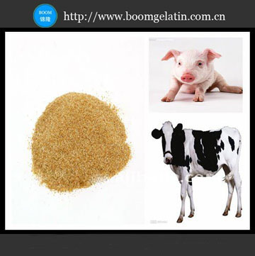 Choline Chloride Powder and Liquid (50%, 60%, 70%)