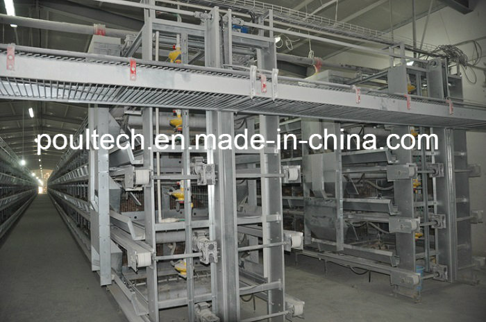 Best Price High Quality H Type Layer Cage Equipment