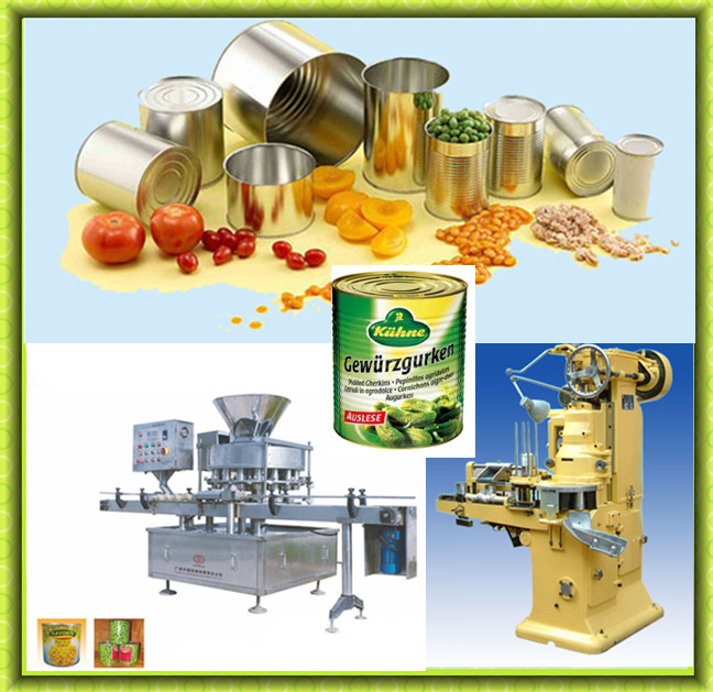 Full Automatic Pickle Manufacturing Machines