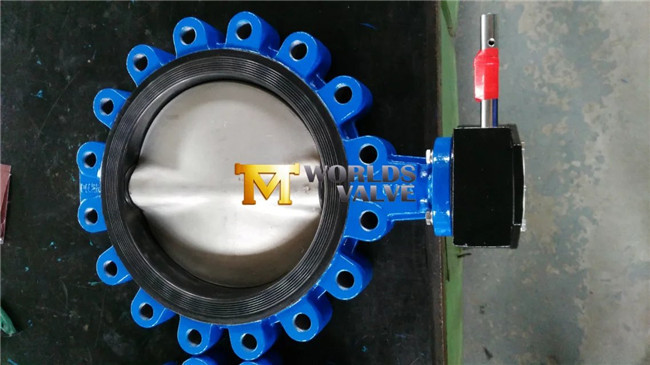 Lug Type Butterfly Valve with CF8m Disc