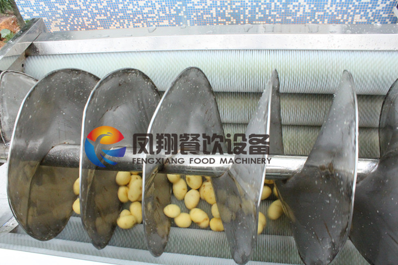 Large Type Screw Yam/Potato/Carrot/ Vegetable Washing & Peeling Machine