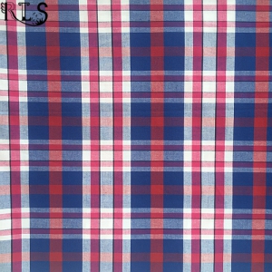 100% Cotton Poplin Woven Yarn Dyed Fabric for Shirts/Dress Rlsc40-20