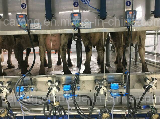 Afimilk Milking System for Cow Farm Equipment