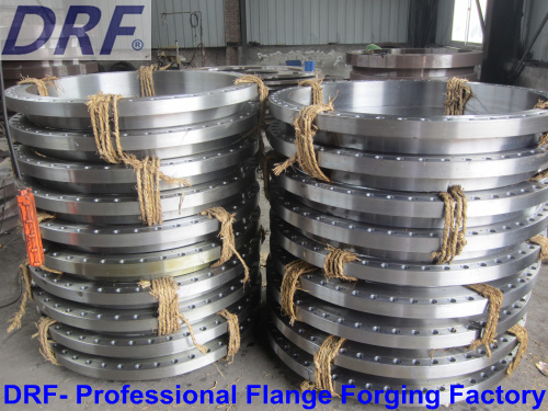 Forged Flange (ANSI B16.5 4