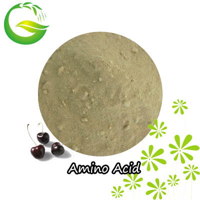 Qfg AA 80 Amino Acid 80%