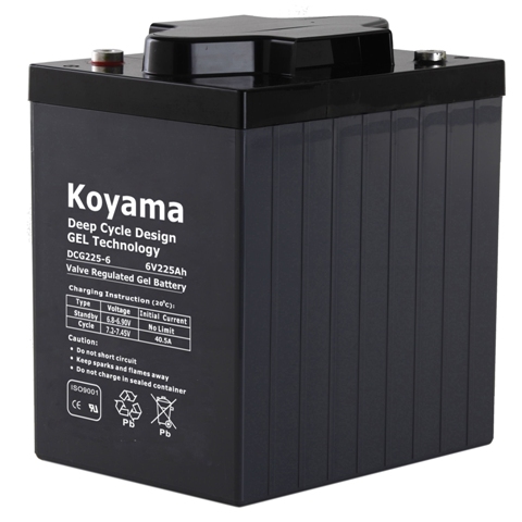 12V135ah-Ev Battery for Electric Vehicle &Recreational Vehicle (RV) (DCG135-12)