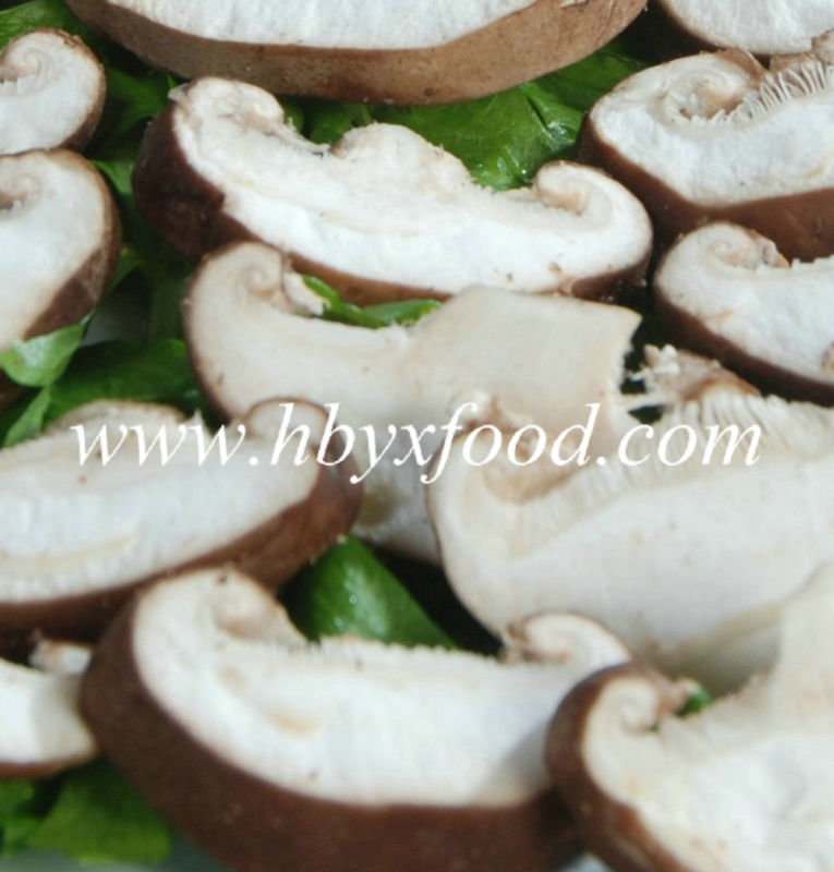 Dehydrated Mushroom Slices 2016 Crop