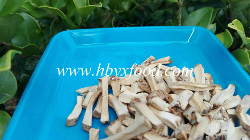 Ad Drying Process Dehydrated Shiitake Mushroom Stem Granules