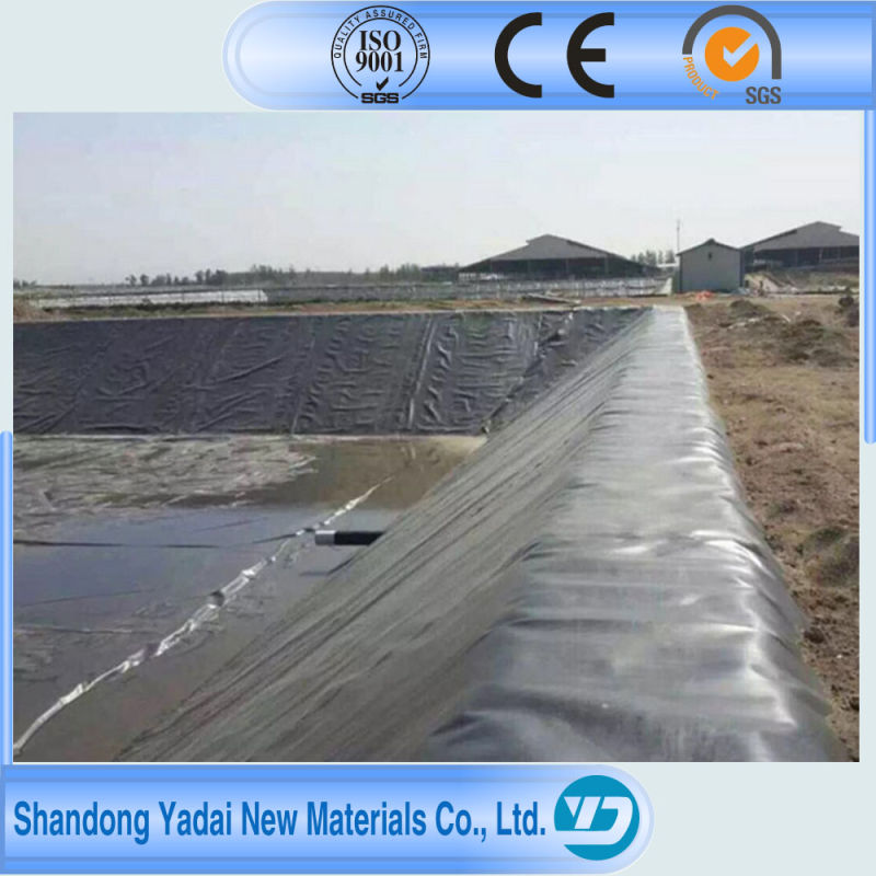 0.1-2mm Smooth Geomembrane HDPE LDPE LLDPE Ecb PVC EVA Pond Liner