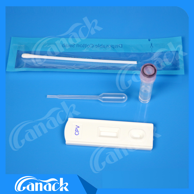 Canine Parvovirus Antigen Rapid Test Kit Cpv Test Hot Sale