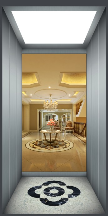 250kg~400kg Small Capacity Home Elevator