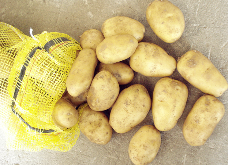 Fresh Potato with Good Quality From Jining Golden Longyuan