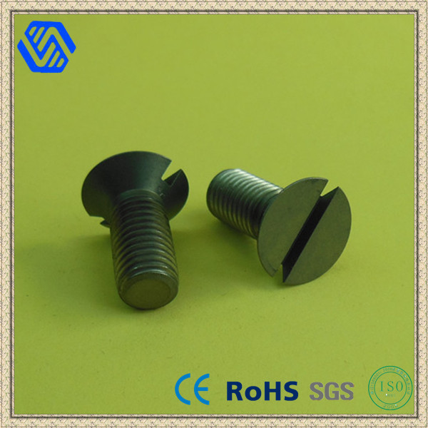 Titanium Slotted Countersunk Head Screw (BL-5016)