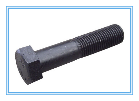 DIN931 Hex Bolt and Nut