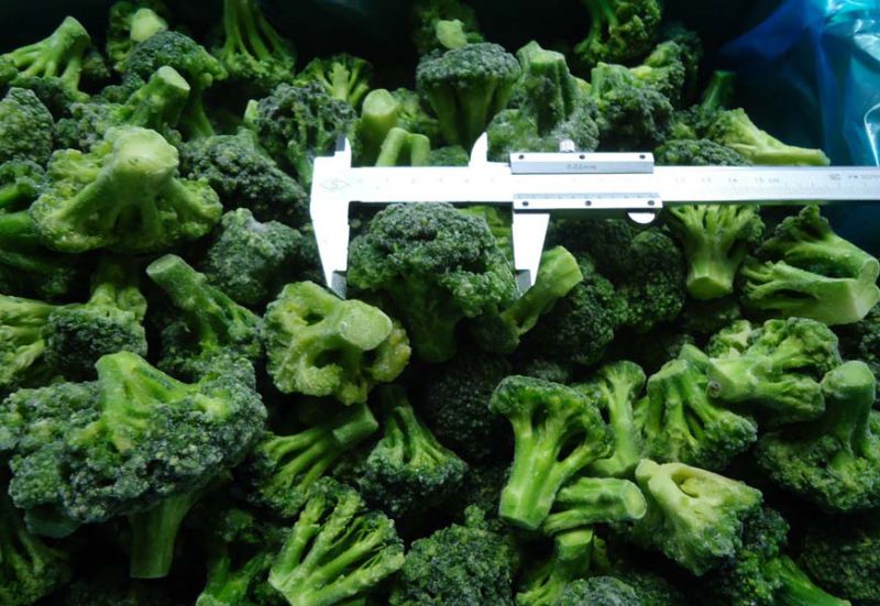 High Quality Frozen IQF Broccoli