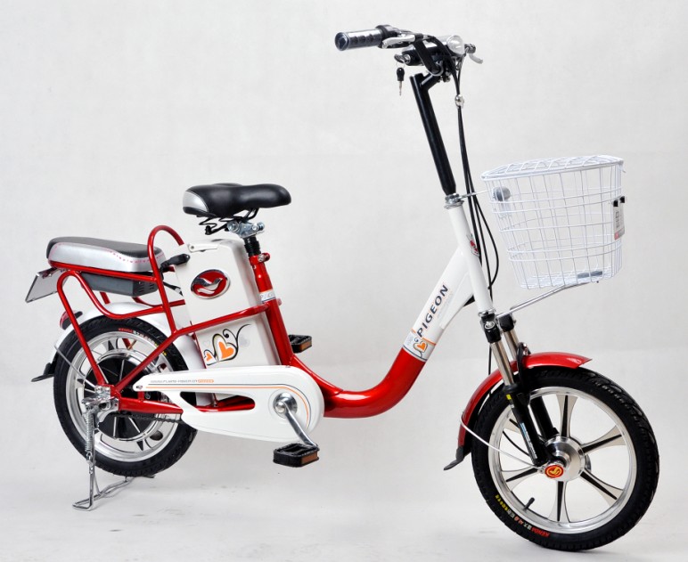 Lithium Battery and Lead Acid Battery Electric Bike