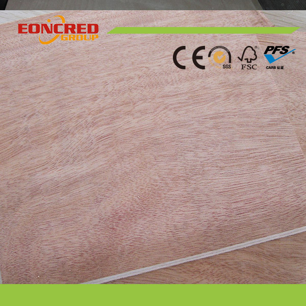 Poplar Plywood From China Munufacturer