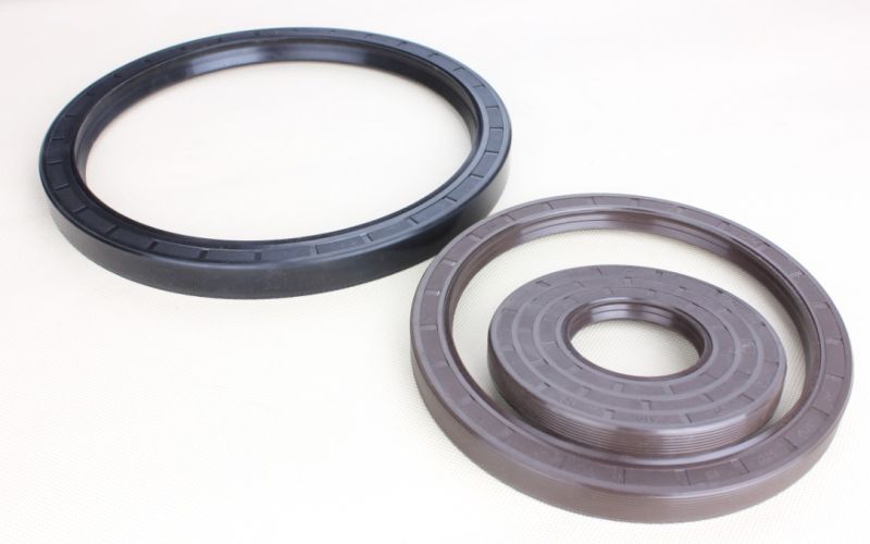 NBR FKM Tg Oil Sealing for Beaing