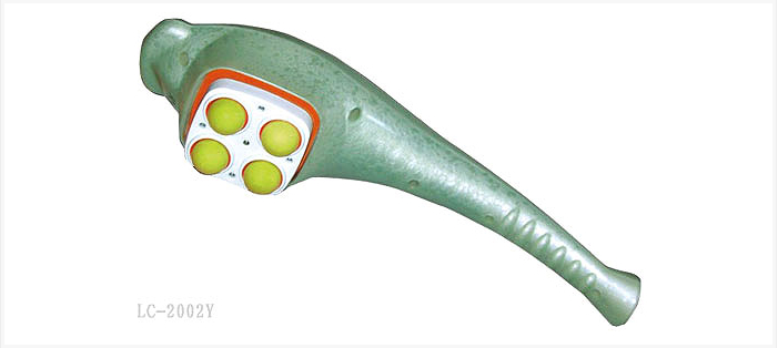 Portable Mini Electric Handheld Massager (LC-2002Y)