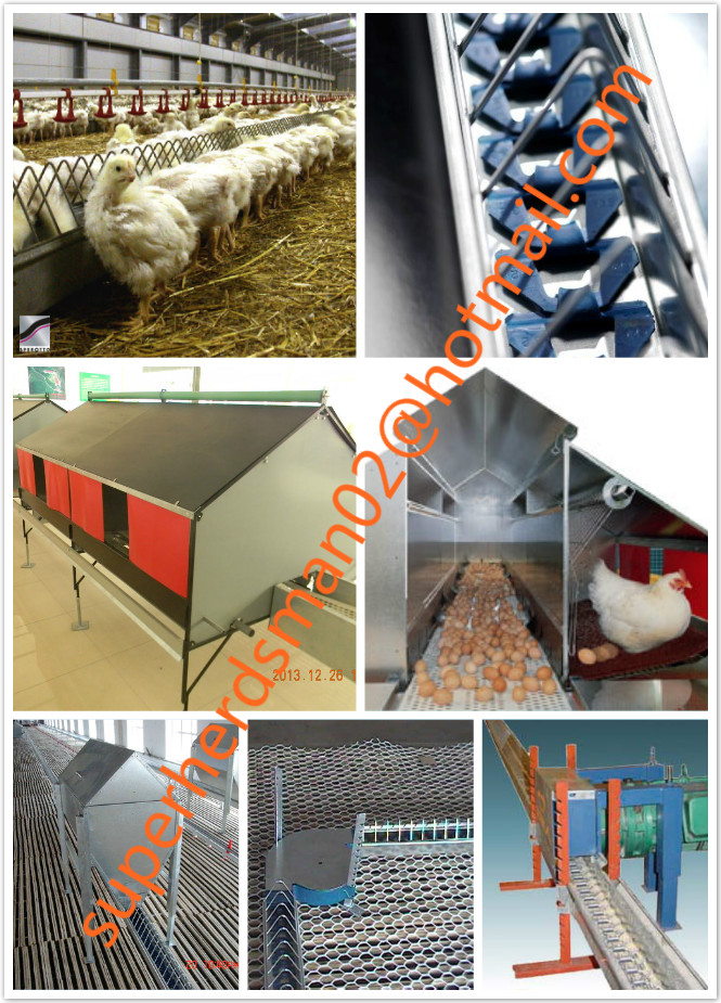 Automatic Poultry Equipment for Breeder House