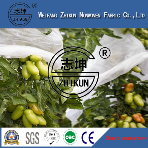 PP Nonwoven Fabric for Agriculture Cover