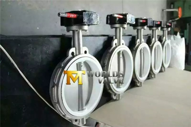 Dds Stainless Steel Wafer Butterfly Valve with Pin