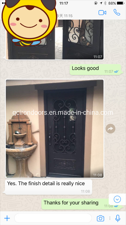 Iron Fireplace Door Made in Tempered Glass