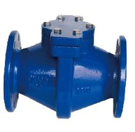 Ductile Iron Simple Design Straight Flow Strainer