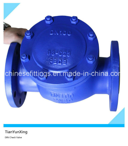 En1092-1 En558 Cast Steel Flanged Swing Check Valve