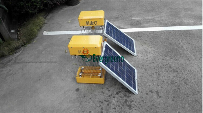 Factory Price Solar Insecticidal Lamp for Home or Farm