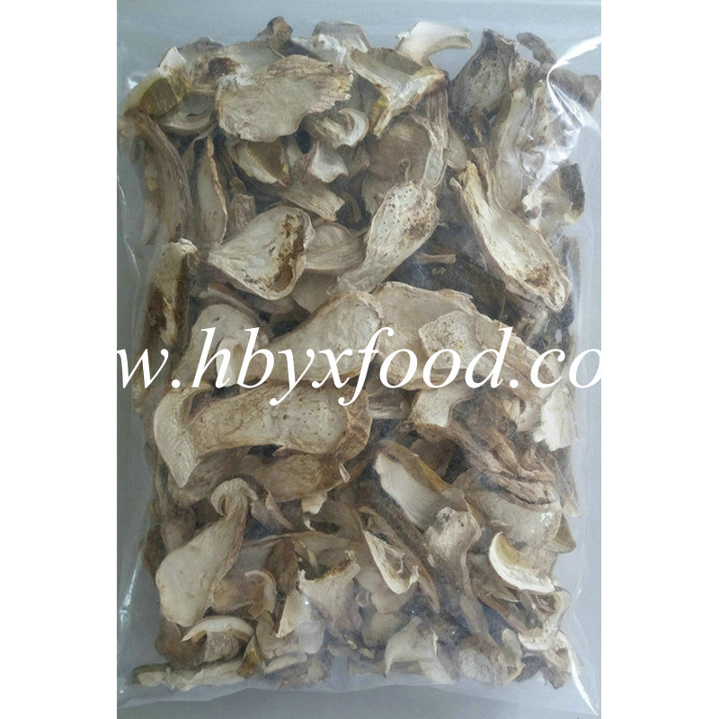 High Quality Dried Mushroom Boletus