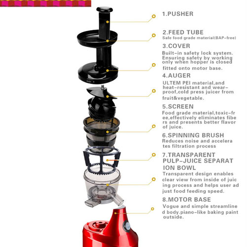 Household Slow Speed Multi-Function Power Juicer with AC Motor (RJ-202)