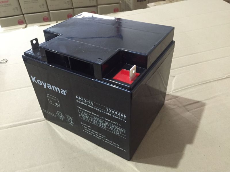 12V 42ah Lead Acid AGM Battery for Emergency Lighting