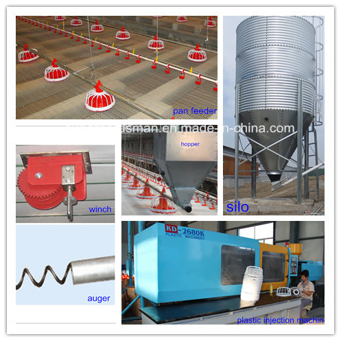 Automatic Poultry Pan Feeding Equipment for Broiler Chicken