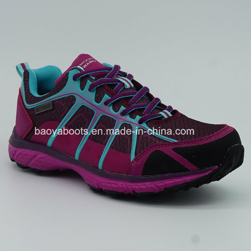 Latest Fashion Ladies Running Shoes Hiking Shoes Climbing Shoes