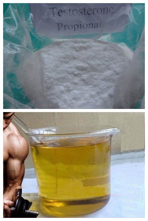 CAS 57-85-2 Injectable Steroid Compound Testosterone Propionate