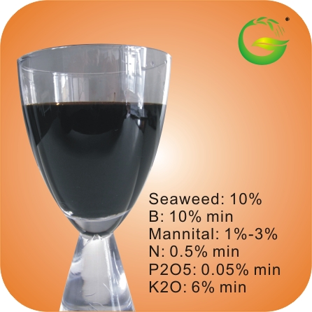 Organic Liquid Seaweed Fertilizer with L-Amino Acid