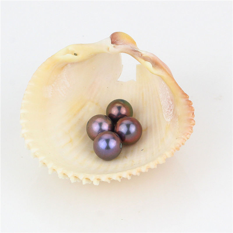 Snh Peacock Color Natural Freshwater Loose Pearl Beads