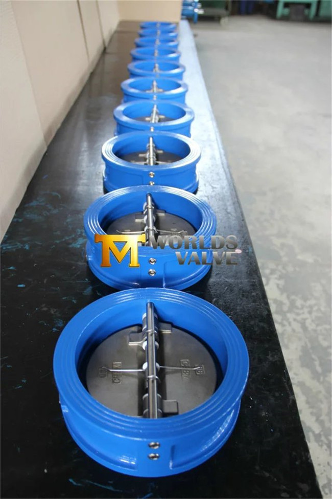 Double Plate Wafer Check Valve